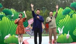 新宇星城爆料视频最新,未来城市生活新篇章